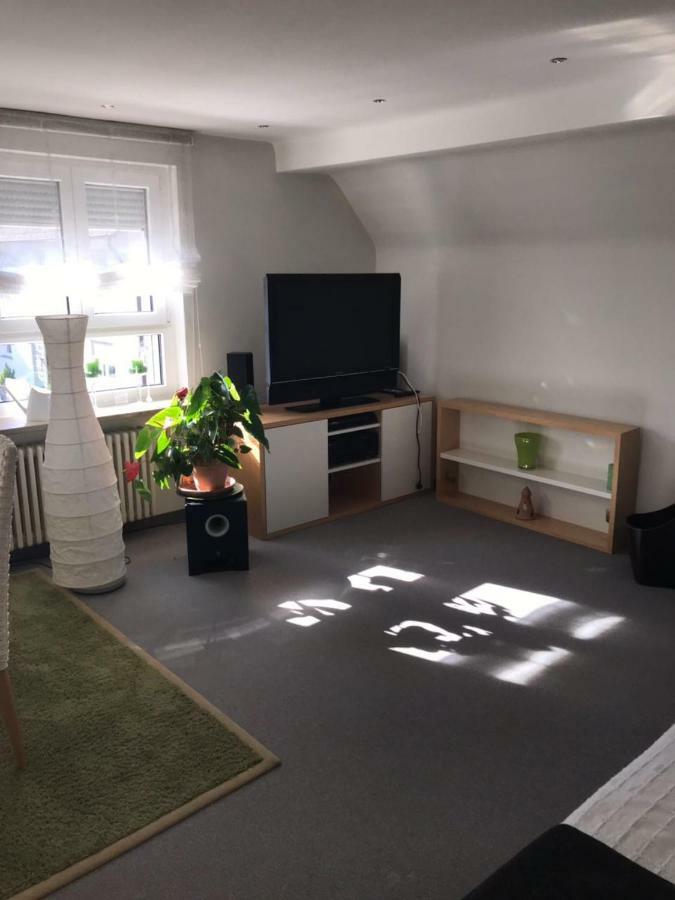 Casa Christina Apartman Orschweier Kültér fotó