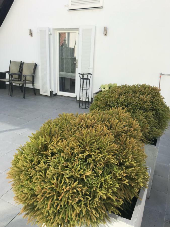 Casa Christina Apartman Orschweier Kültér fotó